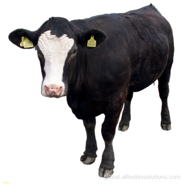 Protein Peptide bovine bone collagen peptide powder Manufactory